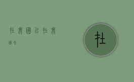 在我国已（在我国去）