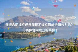 质押合同成立但是质权不成立影响合同效力吗？（质押合同成立的条件）