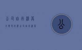公司自行清算方案是什么（公司自行清算流程文件）