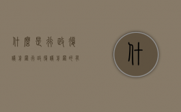 什么是行政复议前置（行政复议前置的有几种情形 李佳）