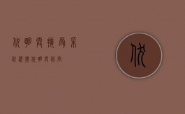 伏明霞接受采访视频（伏明霞访问）
