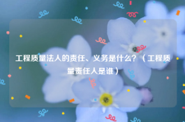 工程质量法人的责任、义务是什么？（工程质量责任人是谁）