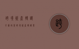 跨境资产转让外汇政策（跨境资产转让业务品种）