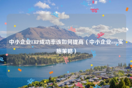 中小企业ERP成功率该如何提高（中小企业erp实施策略）