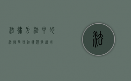 法律方法中的法律推理（法律类推适用）