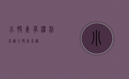 小股东有权利查账（小股东查帐）
