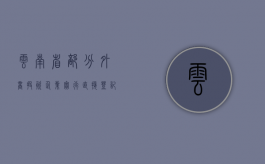 云南省部分外商投资企业实行直接登记制实施办法（外商直接投资业务登记凭证）