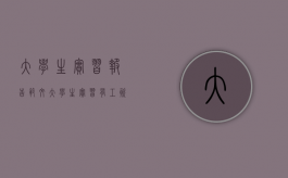 大学生实习报告范文（大学生实习有工资吗）