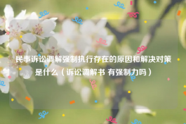 民事诉讼调解强制执行存在的原因和解决对策是什么（诉讼调解书 有强制力吗）
