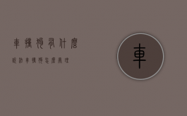 车撞狗有什么说法（车撞狗怎么处理）