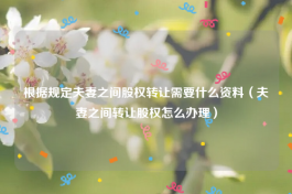 根据规定夫妻之间股权转让需要什么资料（夫妻之间转让股权怎么办理）