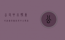 公司中小股东的法律风险防范（中小股东在公司治理的作用）