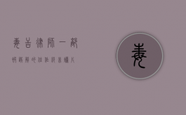 毒舌律师，一部被误解的佳作，绝非烂片