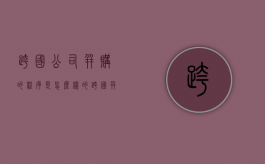 跨国公司并购的程序是怎么样的（跨国并购流程）