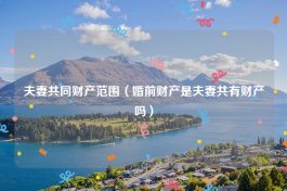夫妻共同财产范围（婚前财产是夫妻共有财产吗）