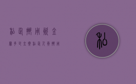 私企挪用资金罪多少立案（私企人员挪用资金罪）
