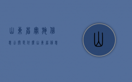山东省实施信息公开是什么（山东省信息公开管理办法）