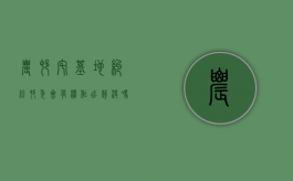 农村宅基地纠纷村委会有权作出裁决吗（农村宅基地房产纠纷）