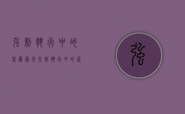强制执行中的代为履行（强制执行中的代履行）