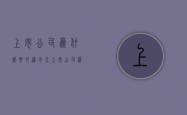 上市公司为什么要存续分立（上市公司为什么要分拆上市）