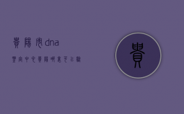 贵阳市dna鉴定中心（贵阳哪里可以验dna）