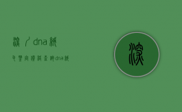 深圳dna绒毛鉴定价格查询（dna绒毛鉴定费用多少）