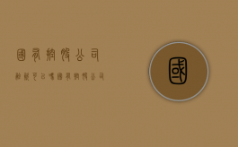 国有控股公司融资可以吗（国有控股公司投资的公司算什么）