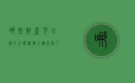 哪些财产可以写在公证遗嘱上（遗产除了公证外还有没有其它办法）