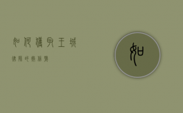 如何获取王城律师的微信号？