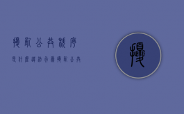 扰乱公共秩序是什么违法行为（扰乱公共秩序是什么违法行为类型）