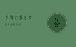 公司合并方式（公司合并方式）