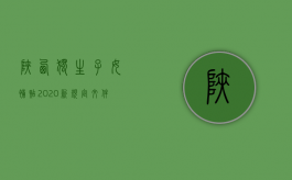 陕西独生子女补贴2020新规定文件（陕西独生子女补贴2020新规定解读）
