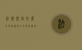 法律规定什么是投资担保公司？（投资担保有限公司是做什么的）