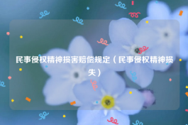 民事侵权精神损害赔偿规定（民事侵权精神损失）