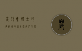 农村集体土地建设用地使用证过户怎么办理（集体土地建设用地使用证过户程序）