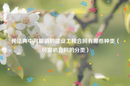 民法典中可撤销的建设工程合同有哪些种类（可撤销合同的分类）