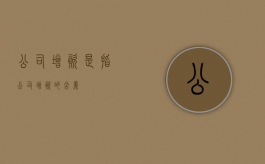 公司增资是指（公司增资的含义）
