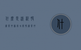 什么是浅析股权质押担保功能（股权质押效力如何）