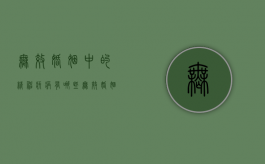 无效婚姻中的精神疾病有哪些（无效婚姻的特征）