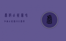 虚假出资罪和抽逃出资罪（2022虚假出资、抽逃出资罪既遂处罚标准）
