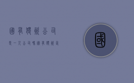 国有独资公司是一人公司吗（国有独资企业是一人有限公司吗）