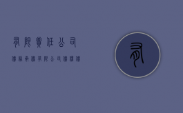 有限责任公司债务承担（有限公司债权债务由谁清偿）
