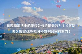 是否婚姻法中的无权处分合同无效？（《民法典》规定:无权处分不影响合同的效力）