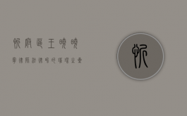 忻府区王晓晓宁律师，法律界的璀璨之星