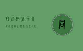 同居财产具体有哪些（同居期间所得的财产如何处理）