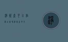 净资产可以作为出资吗（净资产要求）