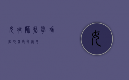 女律师，哲学功底的深度与展现