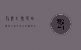 邓海虹律师的职业生涯与个人生活，她是否有孩子？