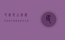 民诉是公法还是私法（民事诉讼法是公法嘛）
