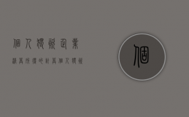 个人独资企业清算所得的计算（个人独资企业清算组备案）